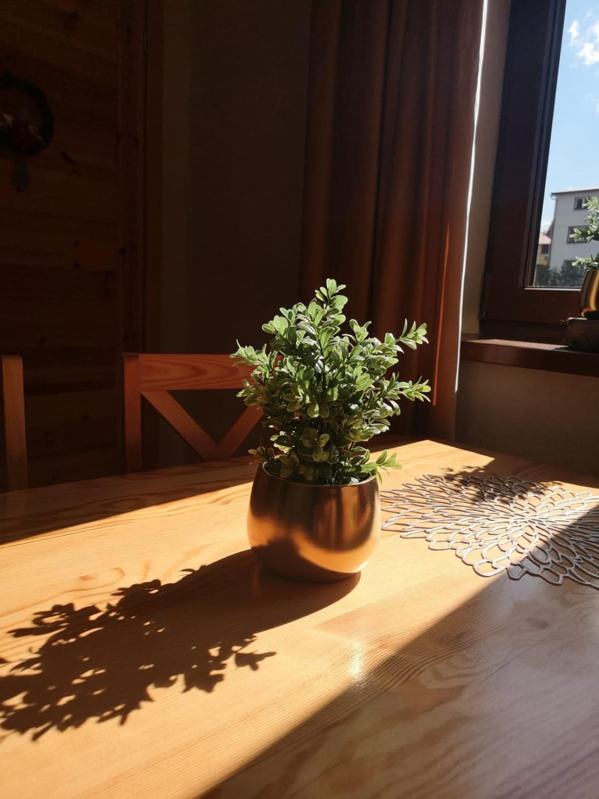 Zwardoniowka Apartamenty Pod Orawcowa Εξωτερικό φωτογραφία